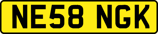 NE58NGK