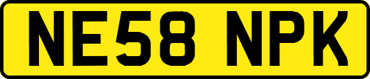NE58NPK