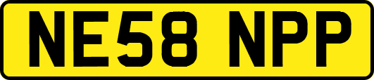 NE58NPP