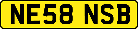 NE58NSB