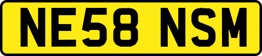 NE58NSM