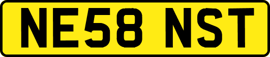NE58NST