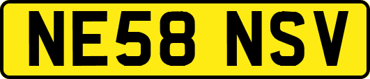 NE58NSV