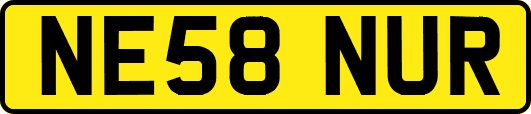 NE58NUR