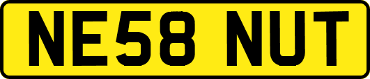 NE58NUT