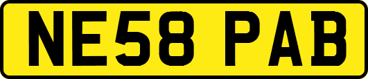 NE58PAB