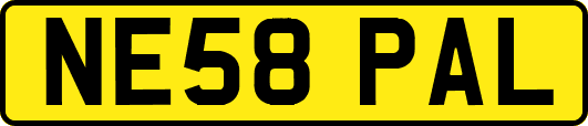 NE58PAL