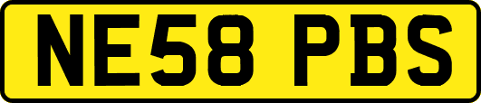 NE58PBS