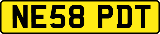 NE58PDT