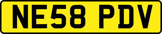 NE58PDV