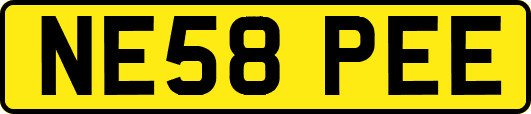 NE58PEE