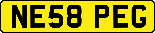 NE58PEG
