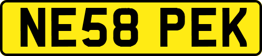 NE58PEK