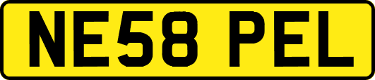 NE58PEL