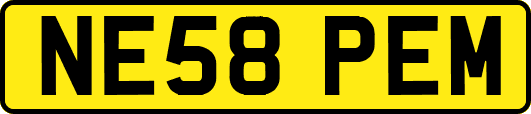 NE58PEM
