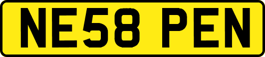NE58PEN