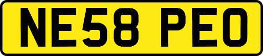 NE58PEO