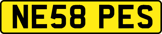NE58PES