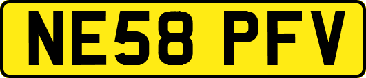 NE58PFV