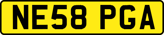 NE58PGA