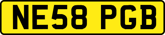 NE58PGB