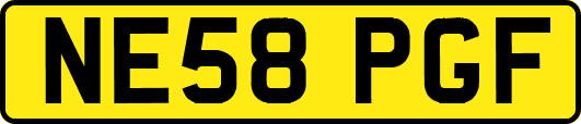 NE58PGF