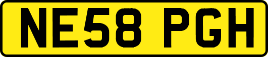NE58PGH