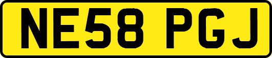 NE58PGJ