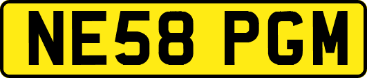 NE58PGM