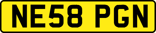 NE58PGN