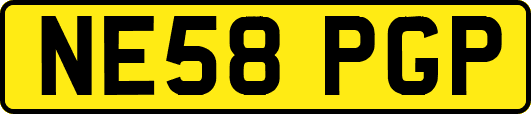 NE58PGP