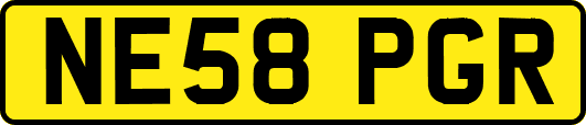 NE58PGR