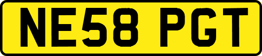 NE58PGT