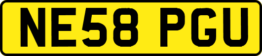 NE58PGU