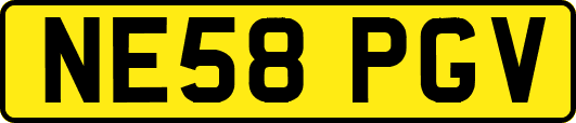 NE58PGV