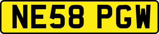 NE58PGW