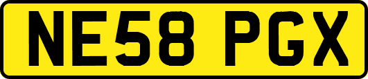 NE58PGX