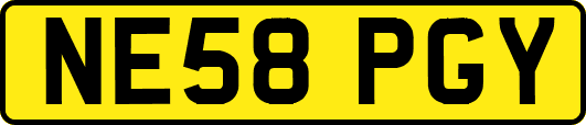 NE58PGY