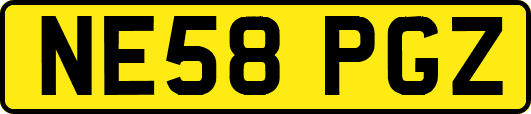 NE58PGZ