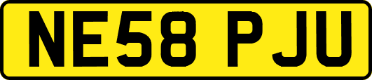 NE58PJU