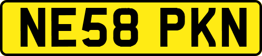 NE58PKN