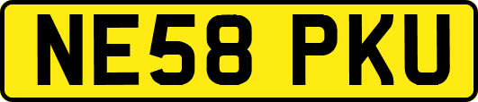 NE58PKU
