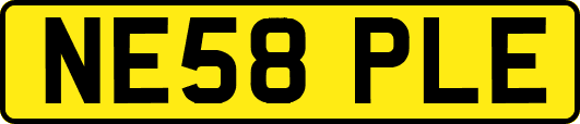 NE58PLE