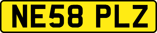 NE58PLZ