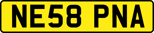 NE58PNA
