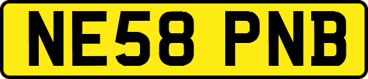 NE58PNB