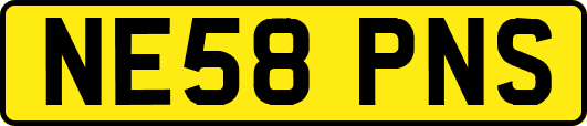 NE58PNS