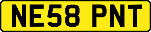 NE58PNT