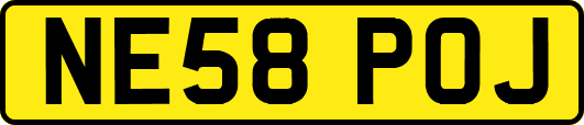 NE58POJ