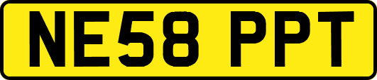 NE58PPT